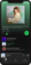 Menú principal del reproductor de sonido Spotify