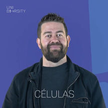 Células