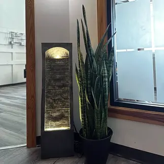 Indoor water feature and plant in calming corner of Revive Spa, a serene lash and facial spa in Southern Pines