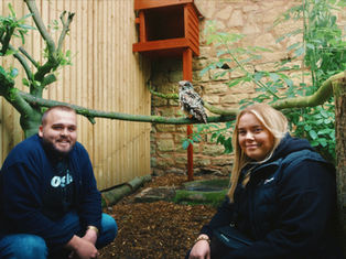 The AonixAviary Project at Brockswood Animal Sanctuary