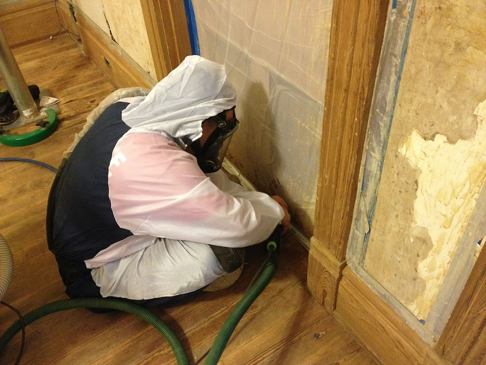 LEAD PAINT REMOVAL