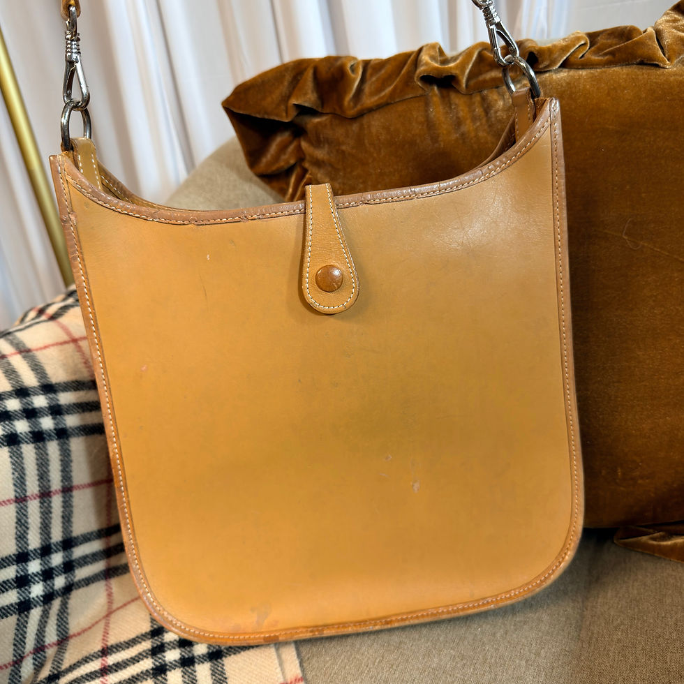 Thumbnail: Hermes Evelyne GM