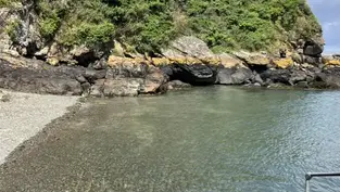 Padstow, Cornwall England: The best things to do and see