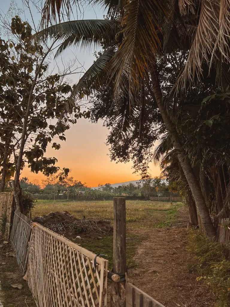 Sunset in Chiang Mai bush