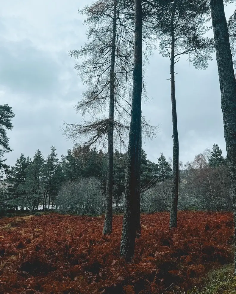 Ballater scotland in winter