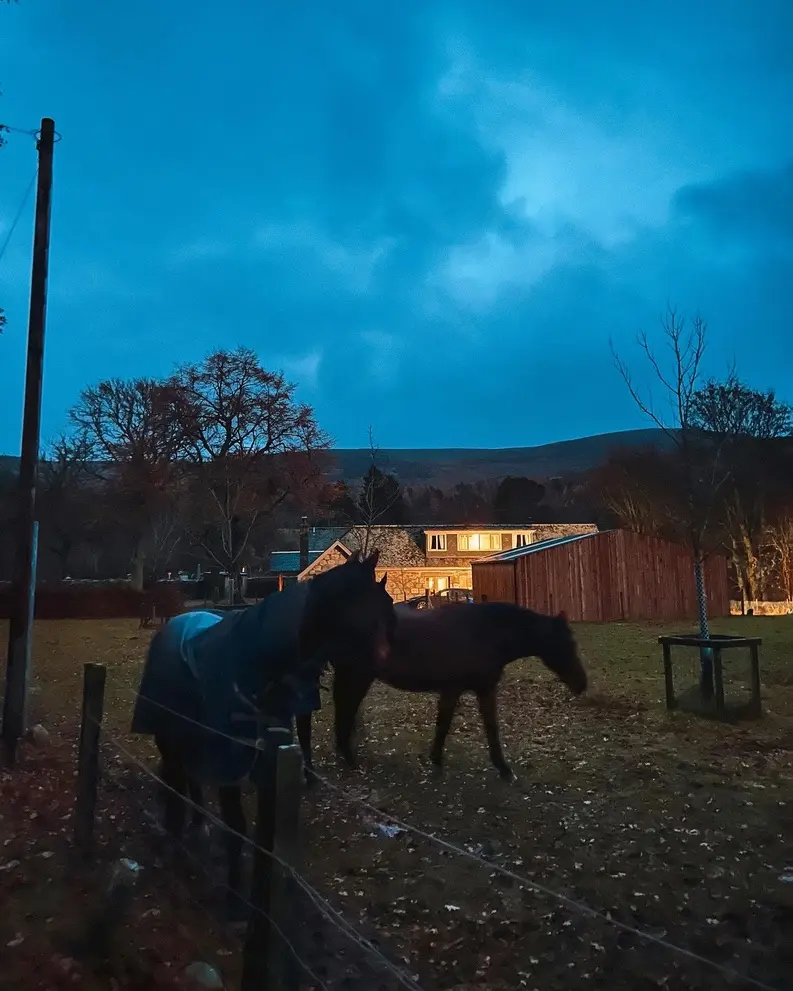 Two horses at night in Ballater Scotland