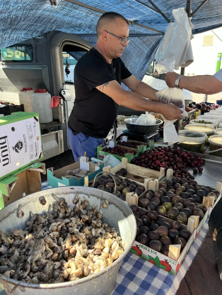 Snails in Seville Spain