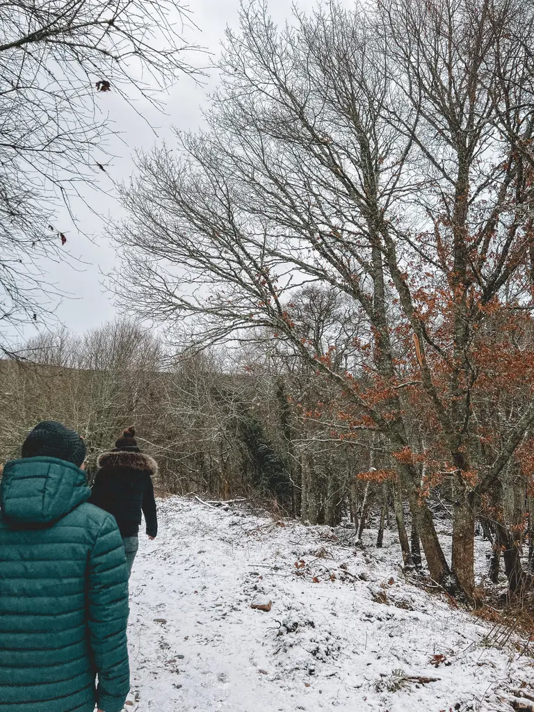 two people walking with backs turned and snow falling in ballater scotland
