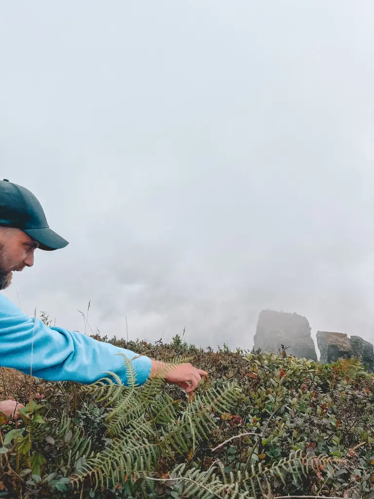 Man pointing to berries in Doi Inthanon National Park