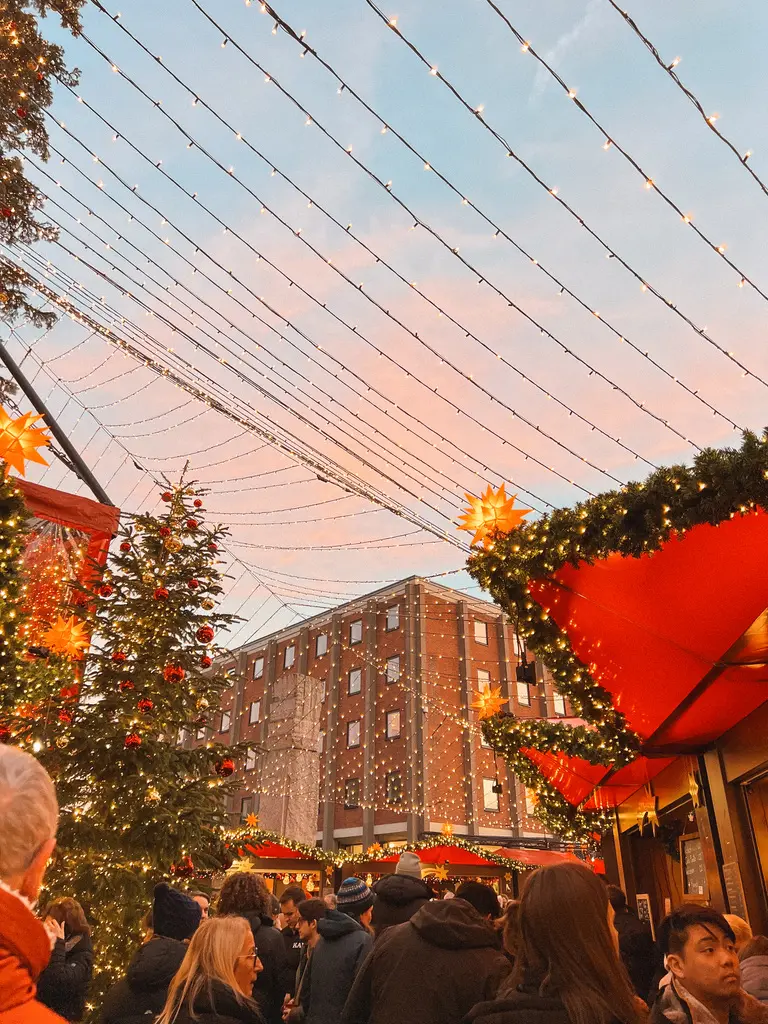 Lights and sunset with Christmas tree in background 