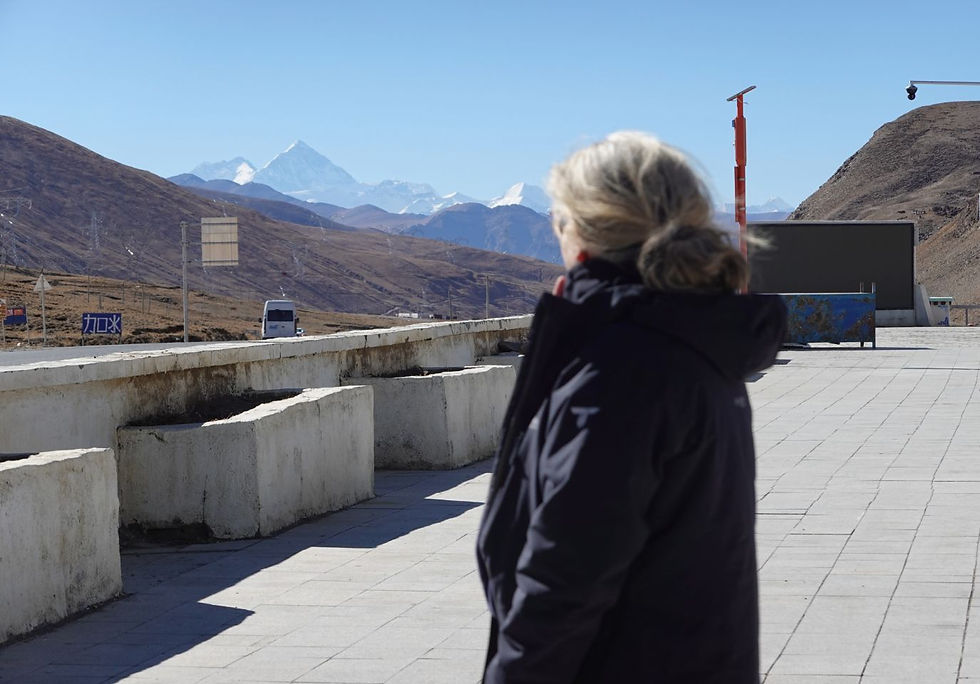 Turista de espaldas mirando hacia la cordillera del Himalaya desde un mirador de piedra.