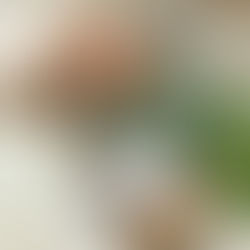 Senior couple reviewing bank statements and card expenses