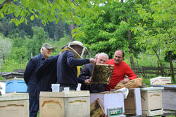 482348635_8597290797039173_6900246259439745190_n