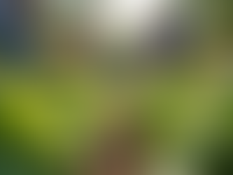 Sustainable Living Tips for Your Community Engagement