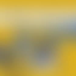 West Virginia Redefines 'Sex' Under State Law - HR ALERTS