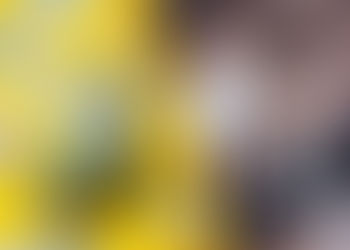 Are managers allowed to be part of tip pooling? - HR Insights