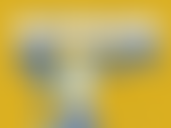 Colorado AI Employment Law Update: Law Delayed & New Requirements - HR ALERTS