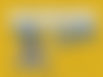 Nebraska Paid Sick Leave – Notice and Leave Requirements  - HR ALERTS