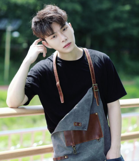 가디