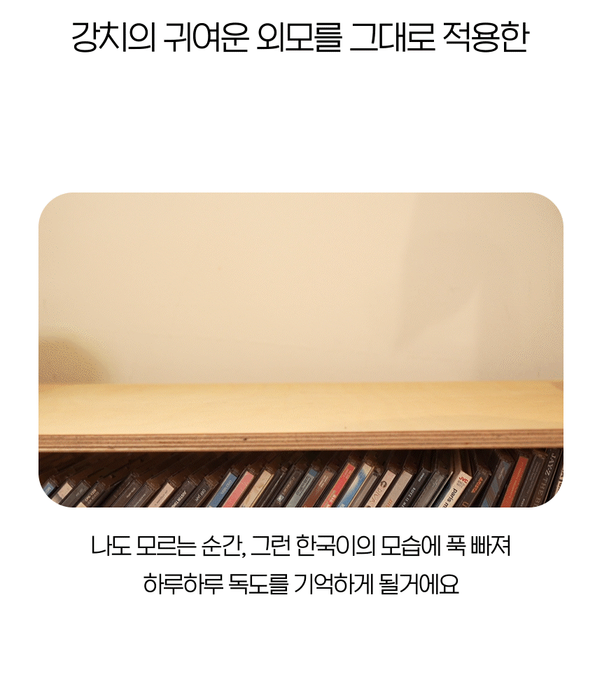 광복80주년 한국이월드 독도의날