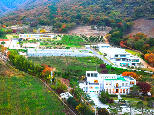 2024.11.22 오차드힐베이커리카페 Grand Open