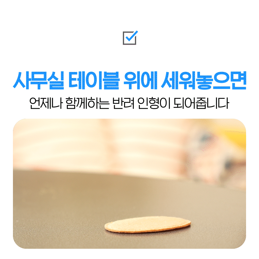 광복80주년 한국이월드 독도의날