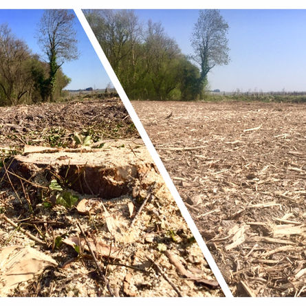 broyage forestier.jpg