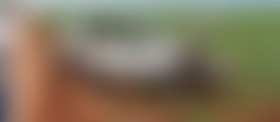 GRAVE ACIDENTE DEIXA MULHER EM ESTADO GRAVE