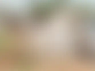 Ponto de ônibus que caiu e matou ajudante de pedreiro tinha parte da estrutura condenada desde 2021