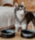Buds_356_edited.png