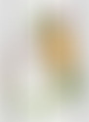 SOLD on GrabYourDesign – Case for Iphone 6/6S Gecko Floral Tribal Art – by BluedarkArt