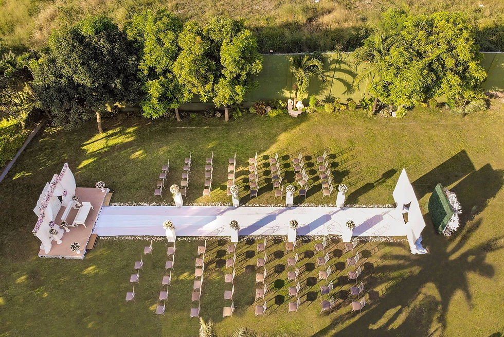 Paradiso Terrestre2.jpg