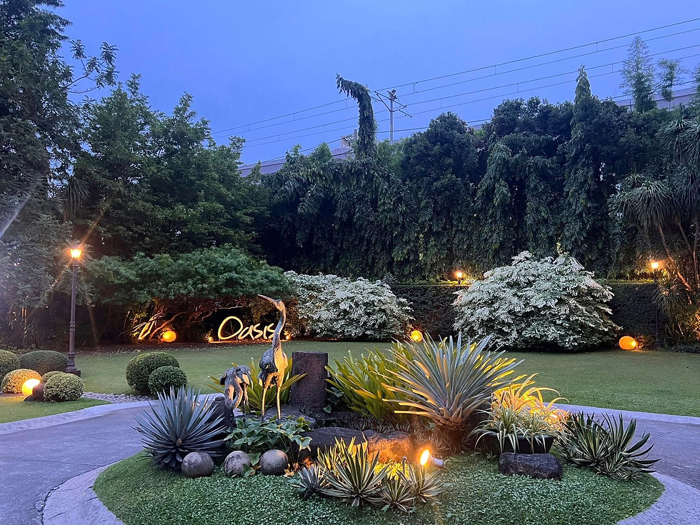 Oasis1.jpg