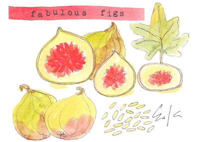 fabulous figs