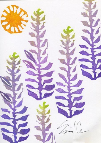 lupines