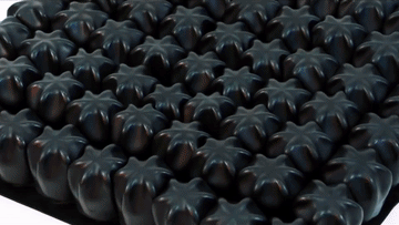 evossezgif-4-f5929624bc.gif