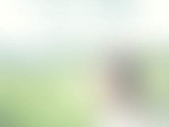 癒しの里1周年記念企画第二弾