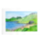 Lake Dove Tasmanie