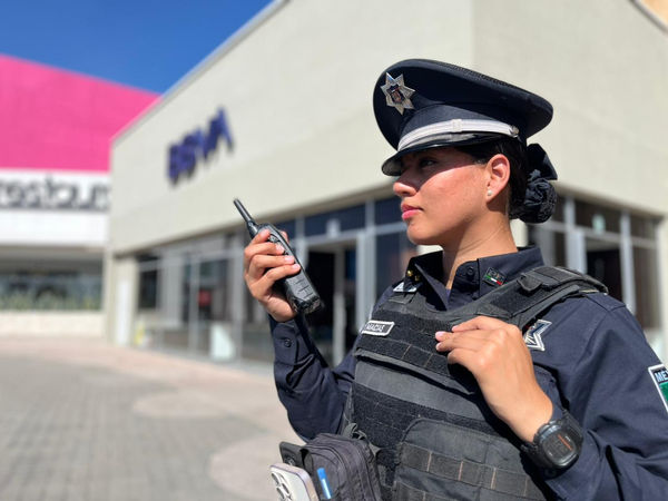 WhatsApp Image 2025-11-12 at 3.10.50 PM.jpeg