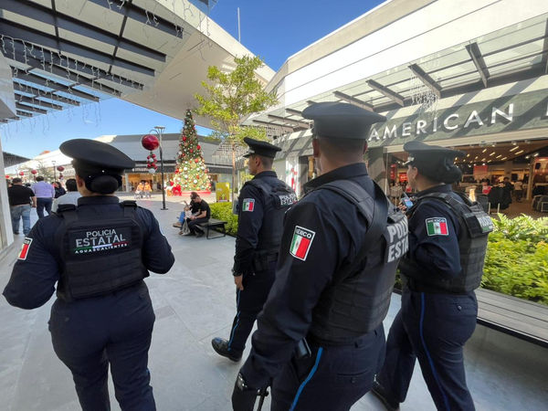 WhatsApp Image 2025-11-12 at 3.46.15 PM.jpeg