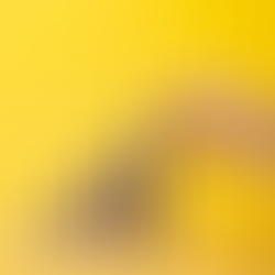 Meu Dentista em Casa como uma das 18 franquias para empreender na região Sudeste do país