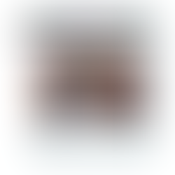 Meu Dentista em Casa é a escolha certa para você investir em 2024 