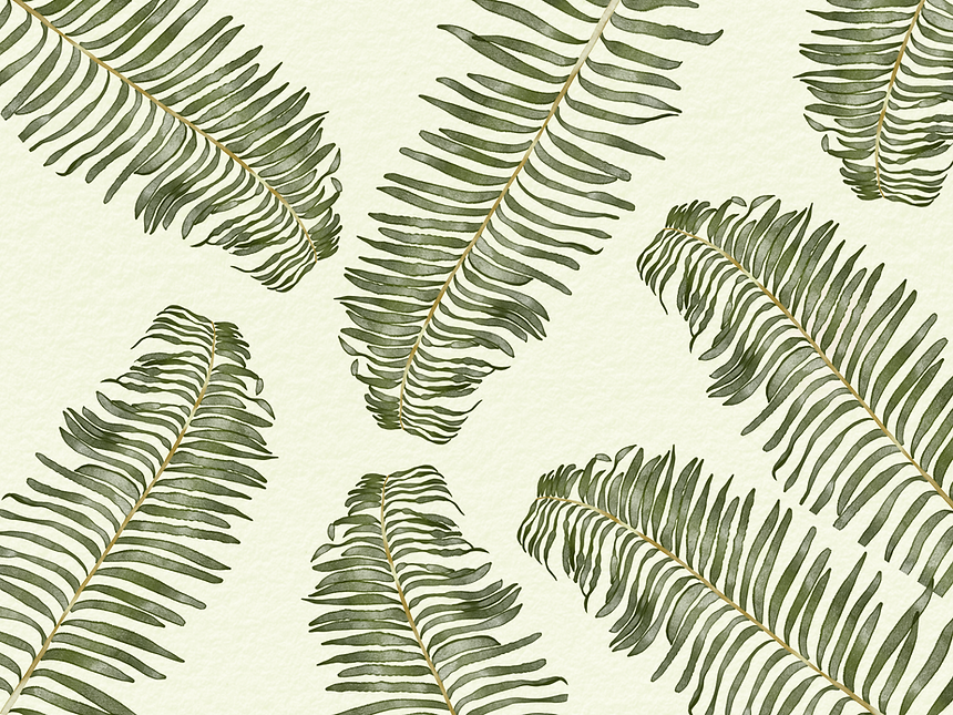 IMG_1312.png