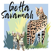 Getta Savannah logo