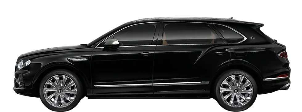 FOTO LUXURY (1) copia.webp