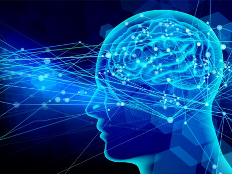 Are "summer fatigue" and "autonomic nervous system disorders" caused by "brain fatigue"? How to tune yourself from the inside out with dry head spa and acupuncture