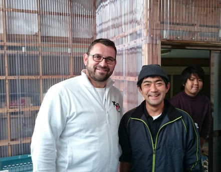 Koi Express, Japankoi