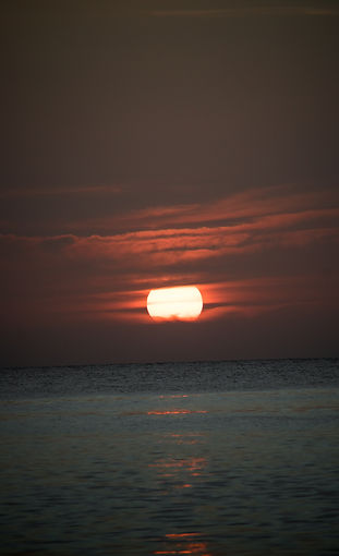 DSC_0675.jpg