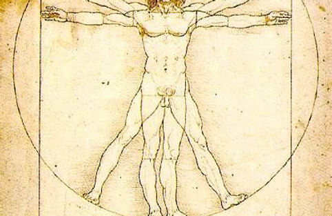 homme de Vitruve