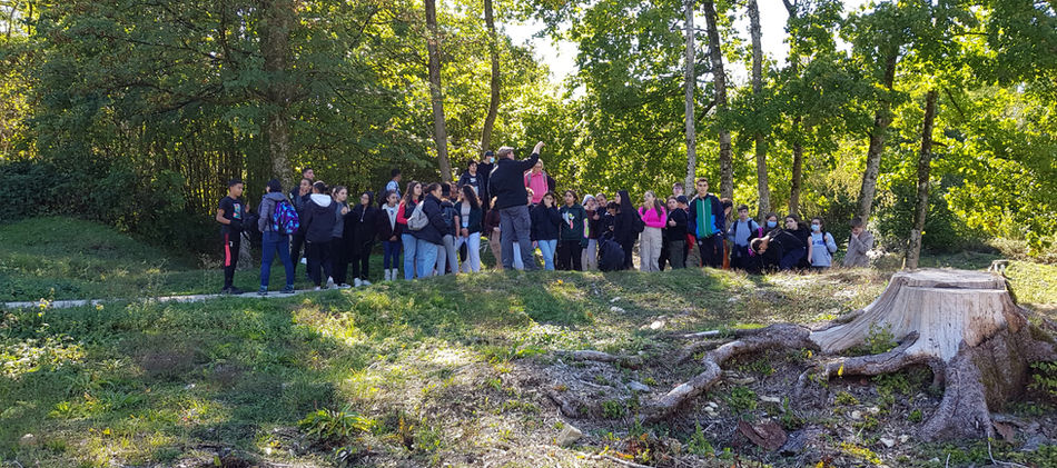 20220922_140952 (1) (1).jpg